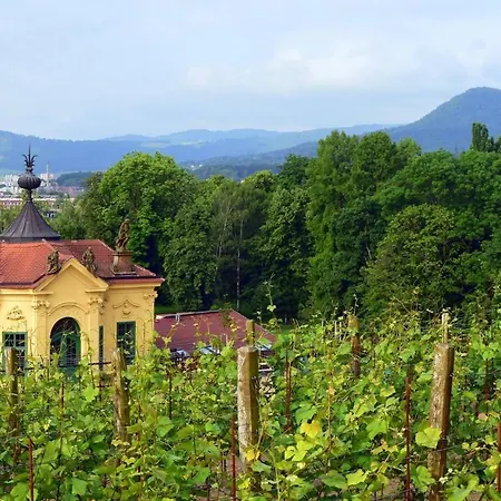 Chateau 公寓 *