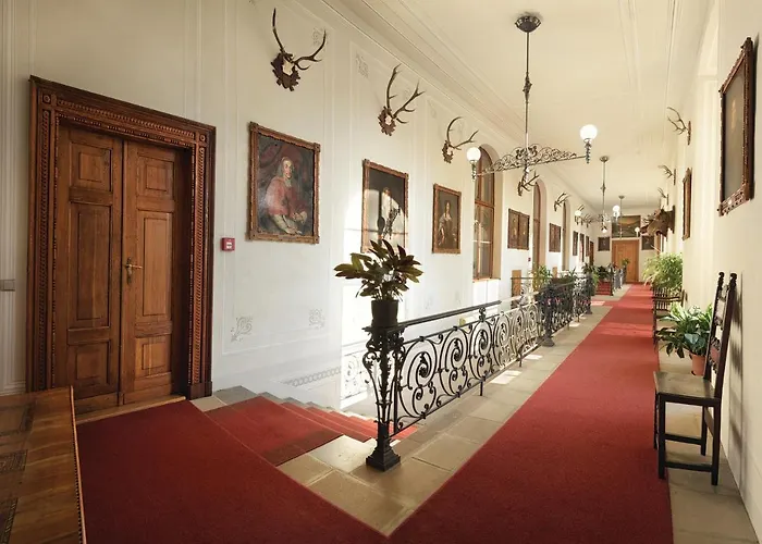 Chateau Decin